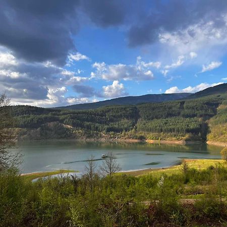 Zavojsko Jezero - Vila Jezero Pirot Exterior photo