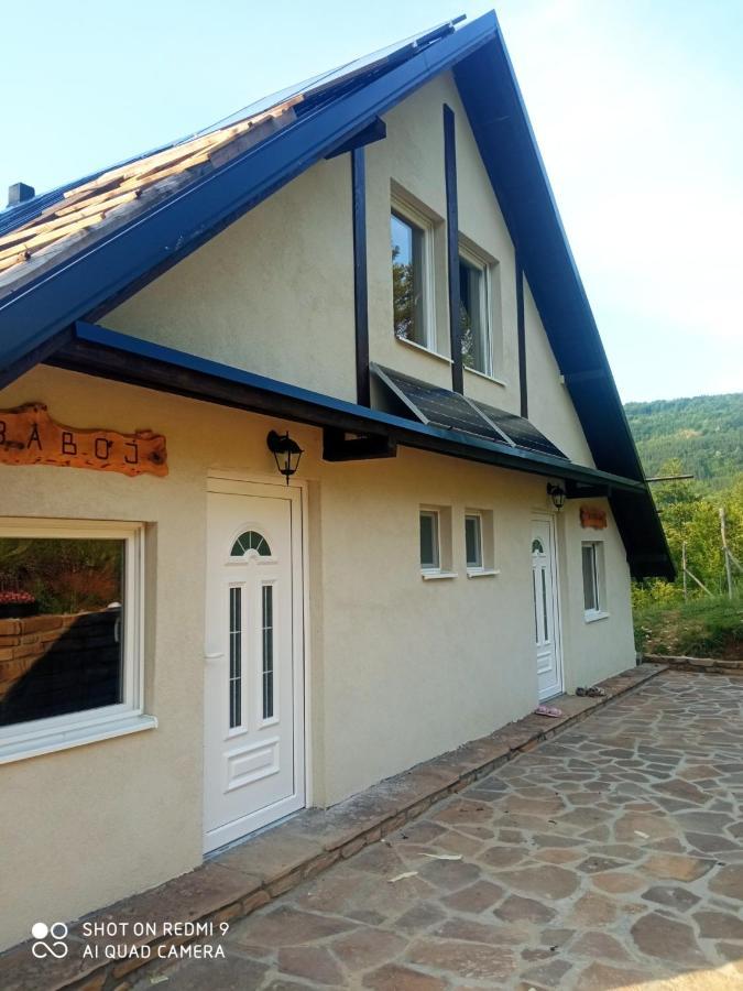 Zavojsko Jezero - Vila Jezero Pirot Exterior photo