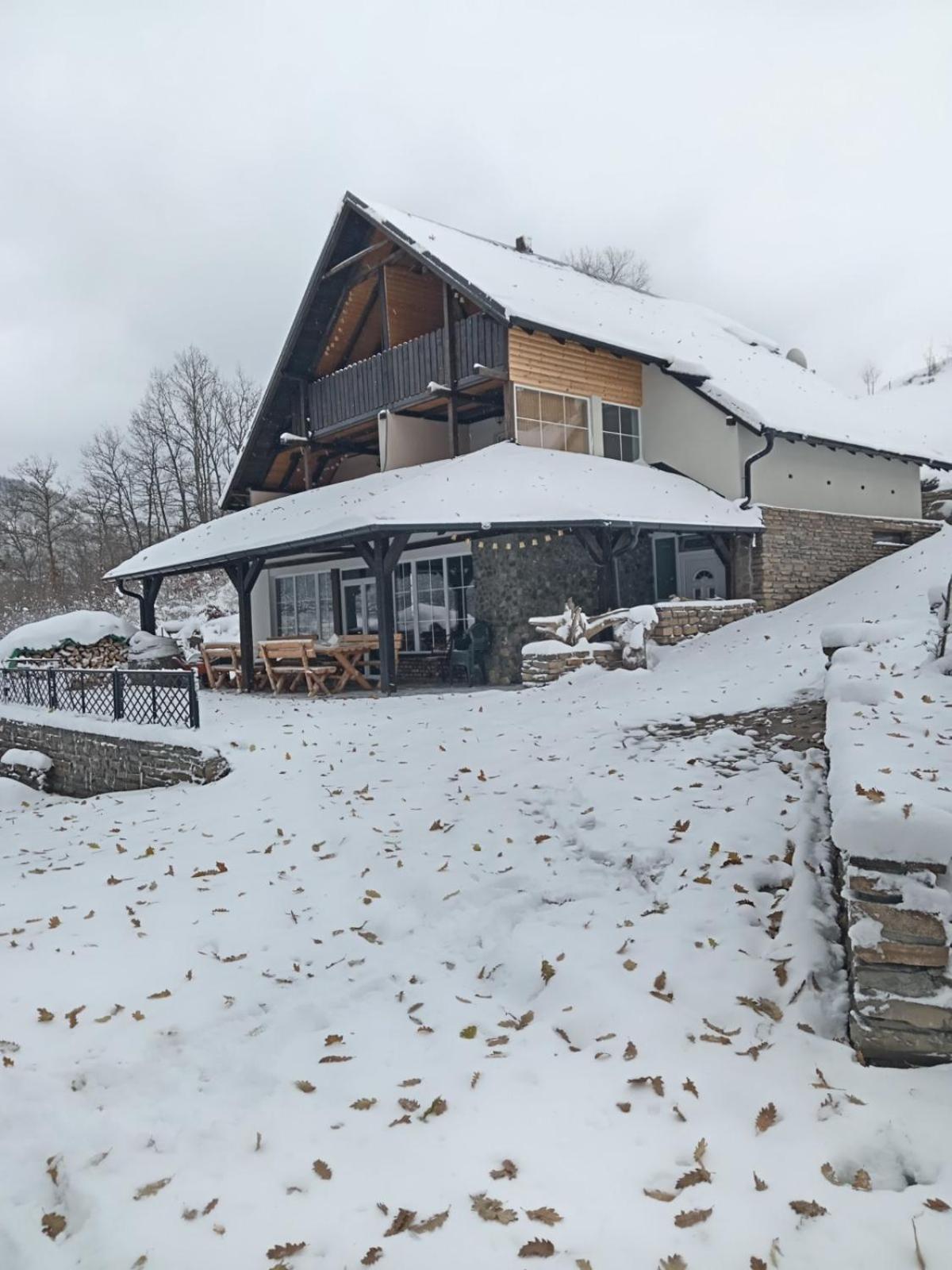 Zavojsko Jezero - Vila Jezero Pirot Exterior photo